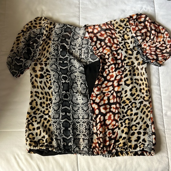 Express cheetah banded top - Picture 3 of 5